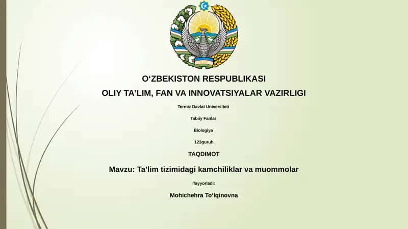 Taʼlim tizimidagi kamchiliklar va muommolar