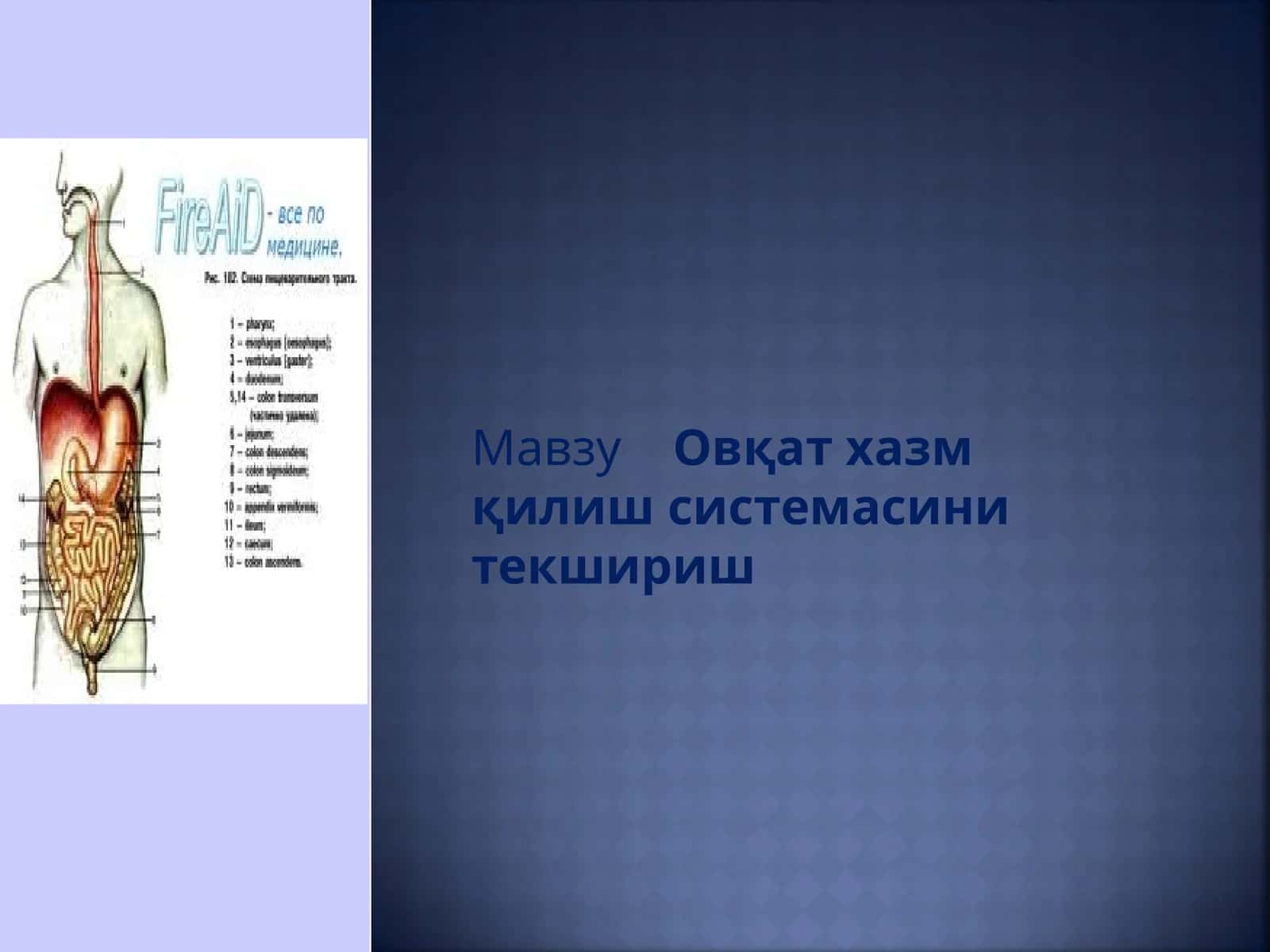 Овқат хазм қилиш системасини текшириш