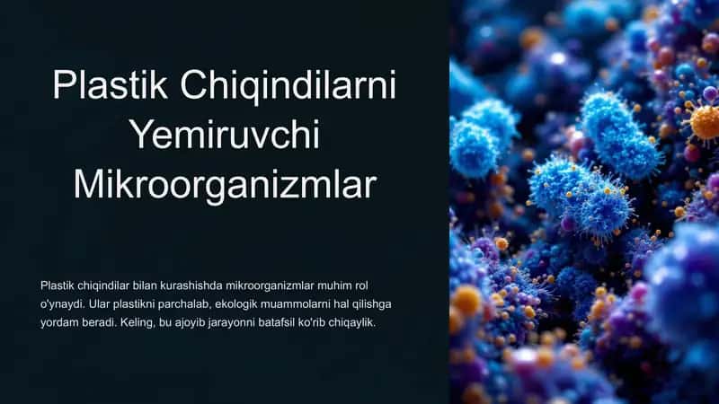 Plastik Chiqindilarni Yemiruvchi Mikroorganizmlar