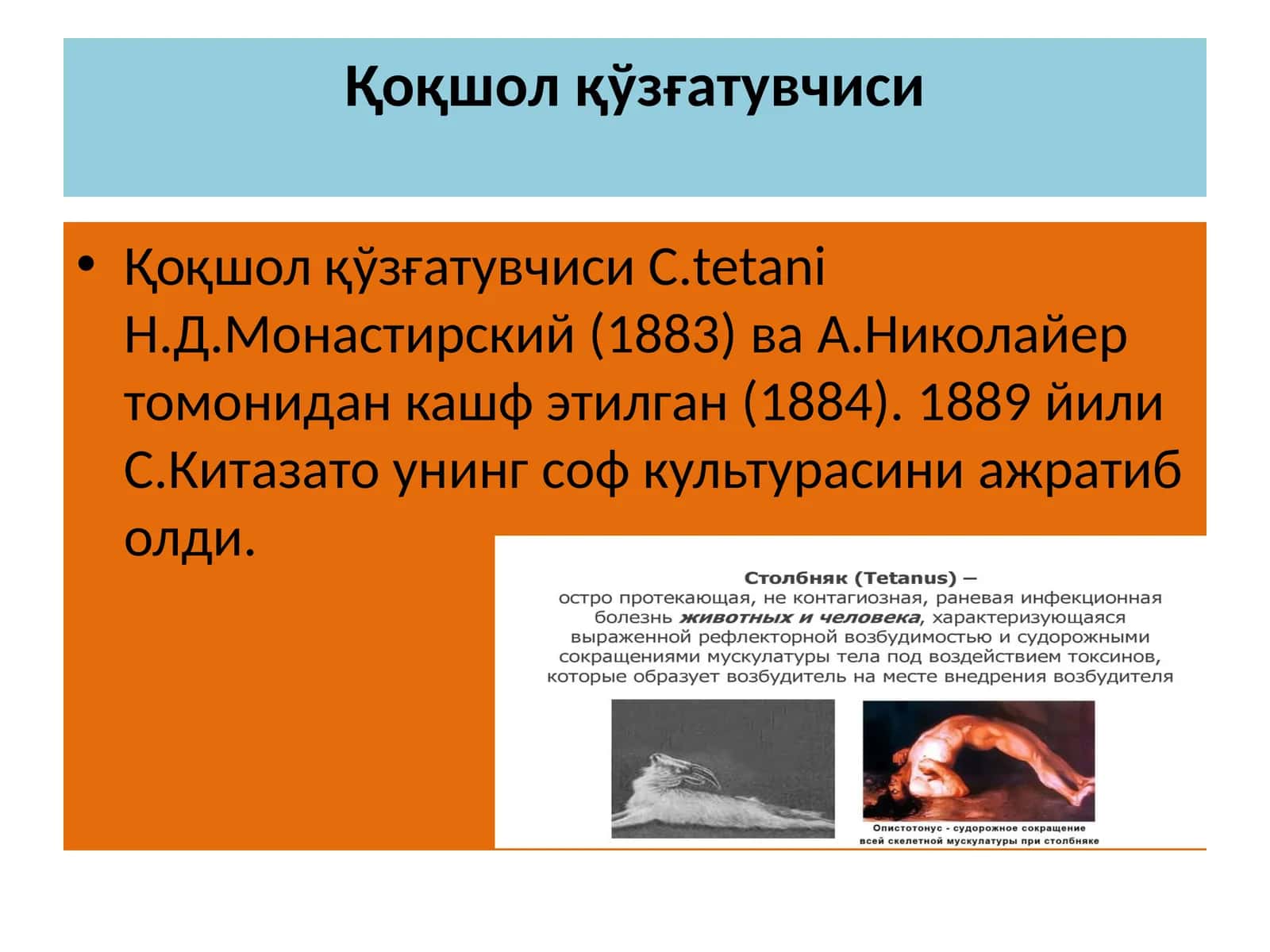 Қоқшолқўзғатувчиси