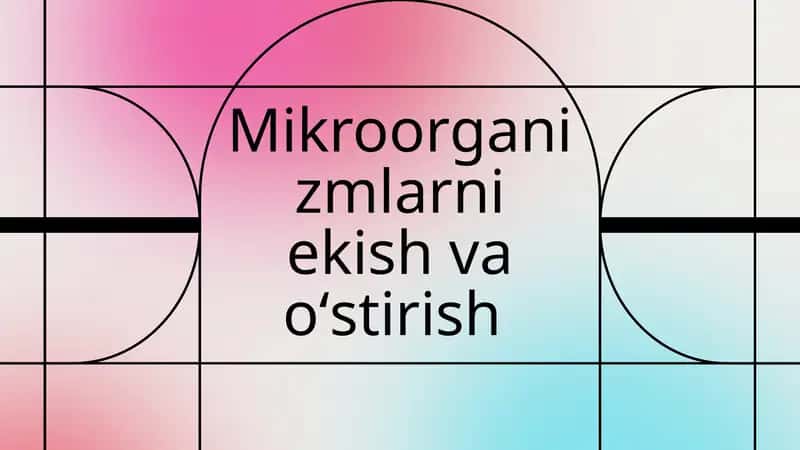 Mikroorganizmlarni ekish va oʻstirish