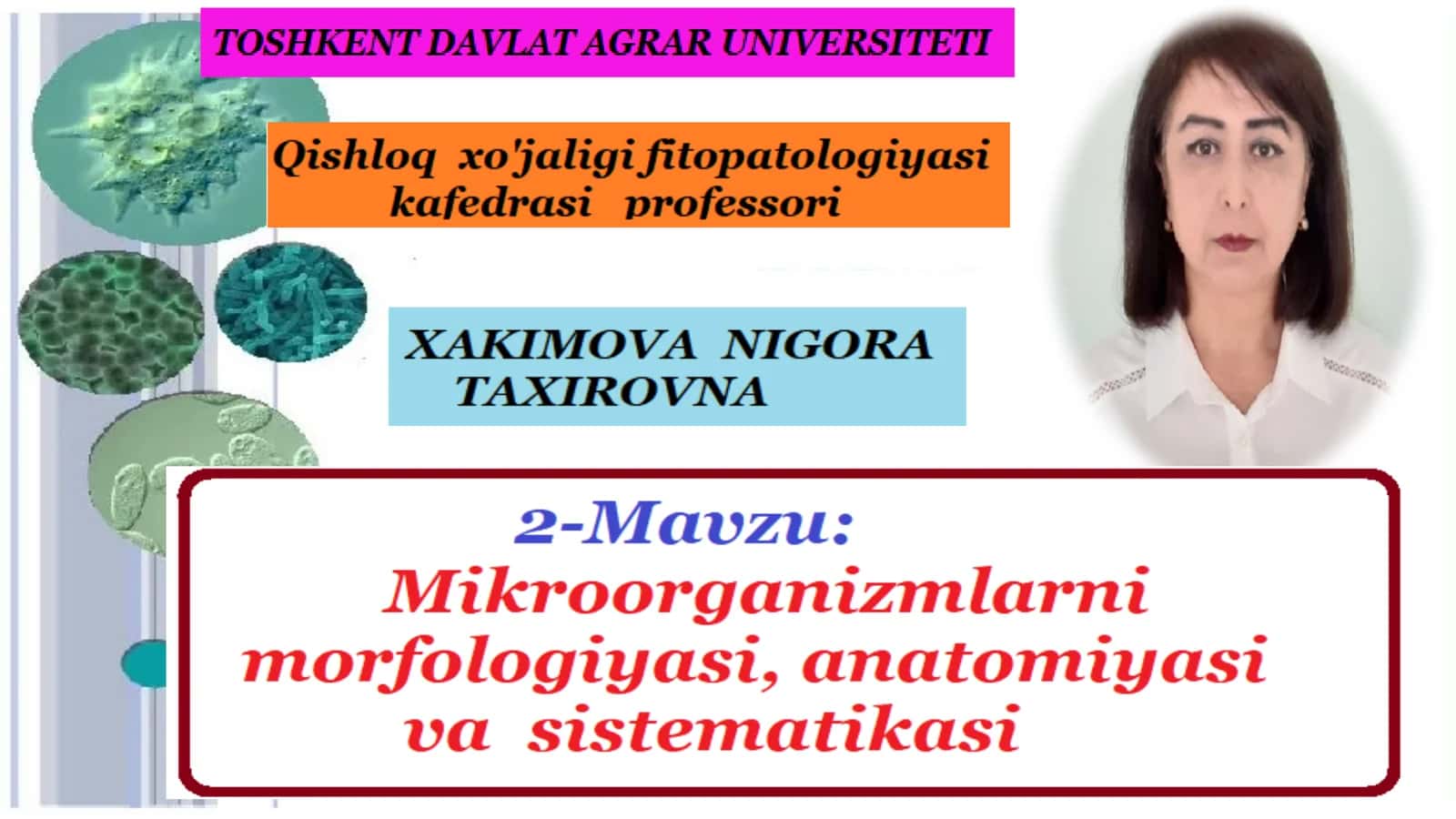 Mikroorganizmlar haqida tushuncha