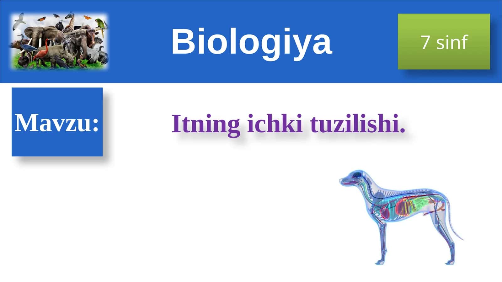 Itningichkituzilishi - Biologiya 7sinf DARS REJASI