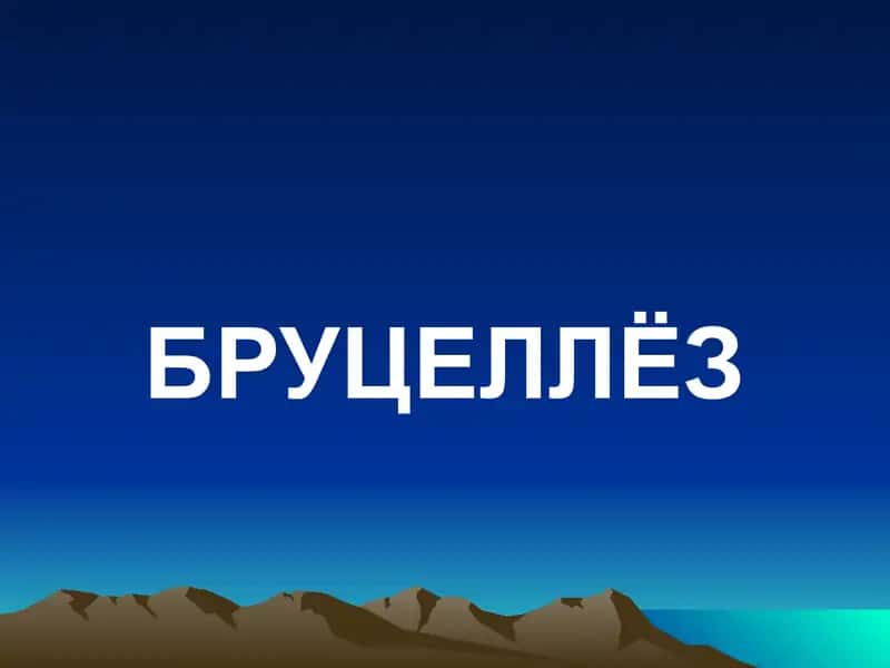 Бруцеллёз