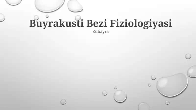 Buyrakusti Bezi Fiziologiyasi