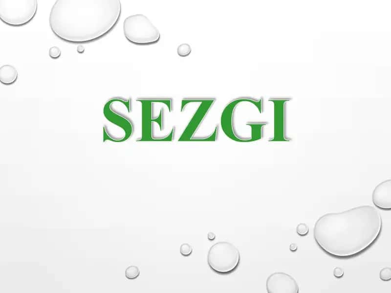 Sezgilarning nerv - fiziologik asoslari