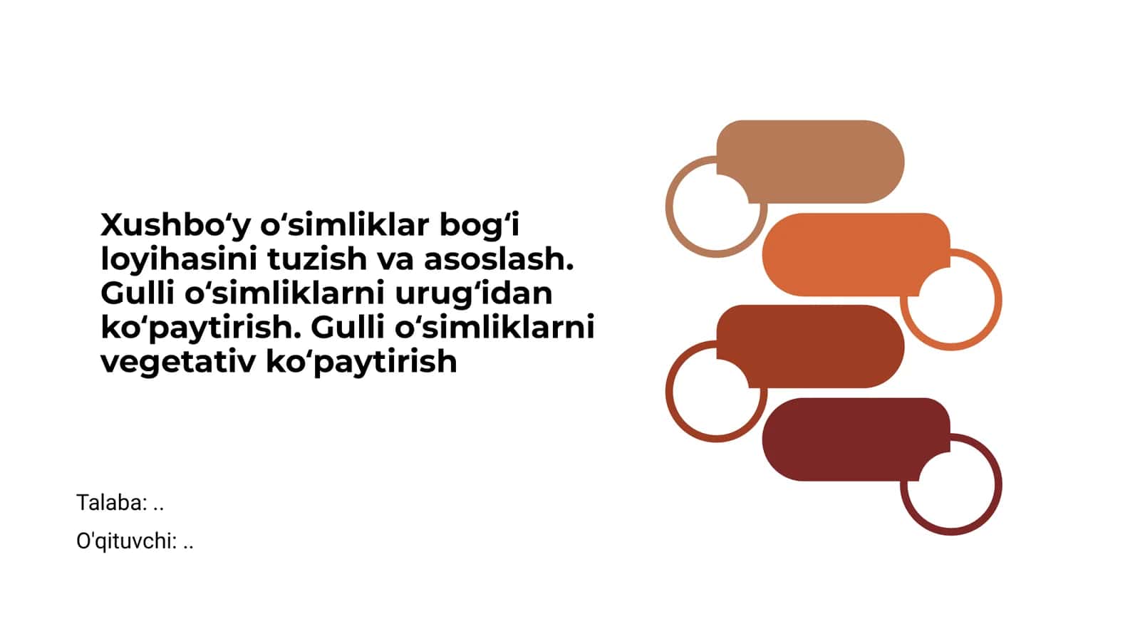 Xushbo‘y o‘simliklar bog‘i loyihasi