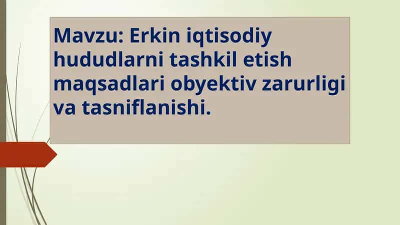Erkiniqtisodiy hududlarni tashkilotish