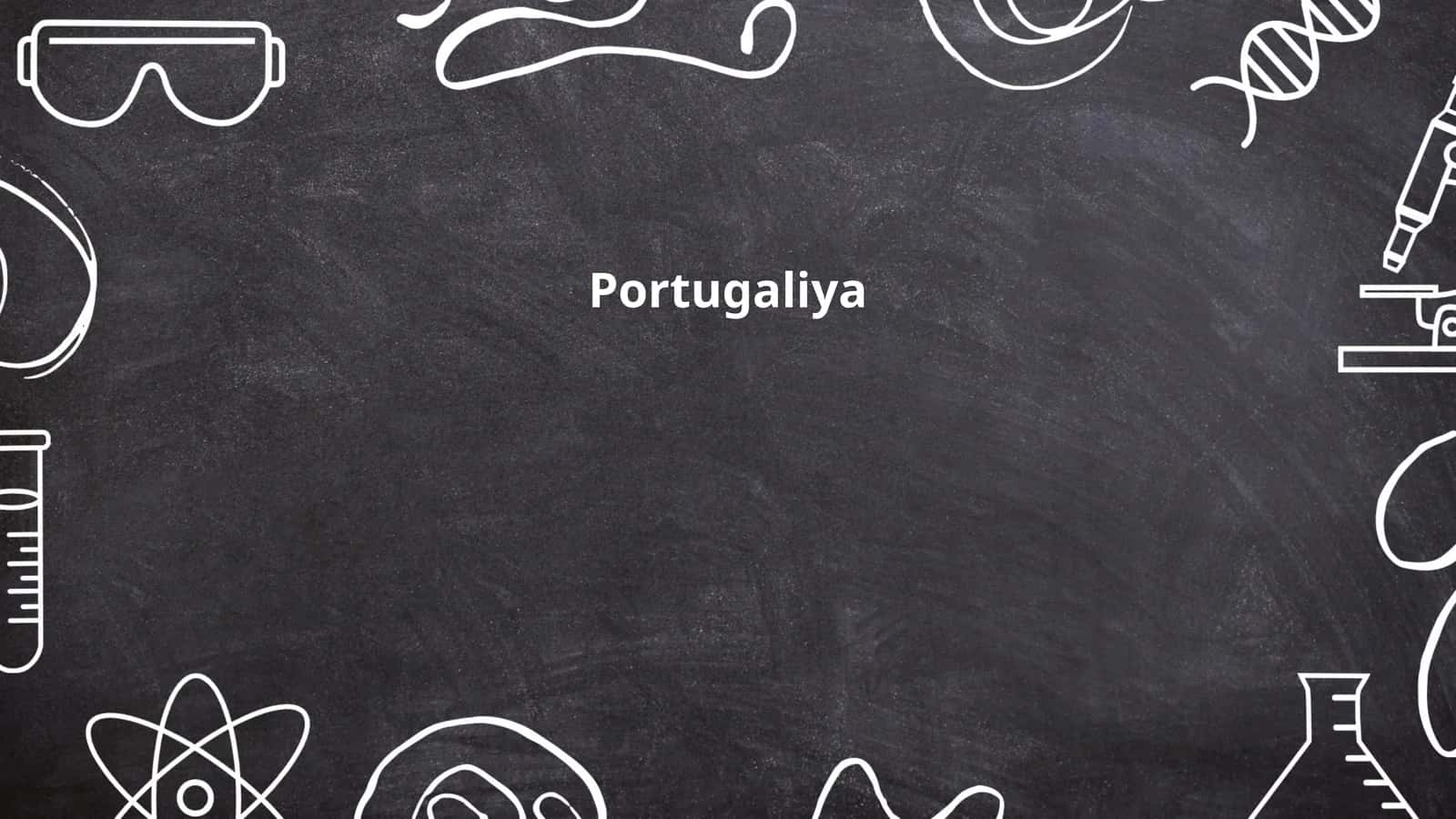 Portugaliya tarixi