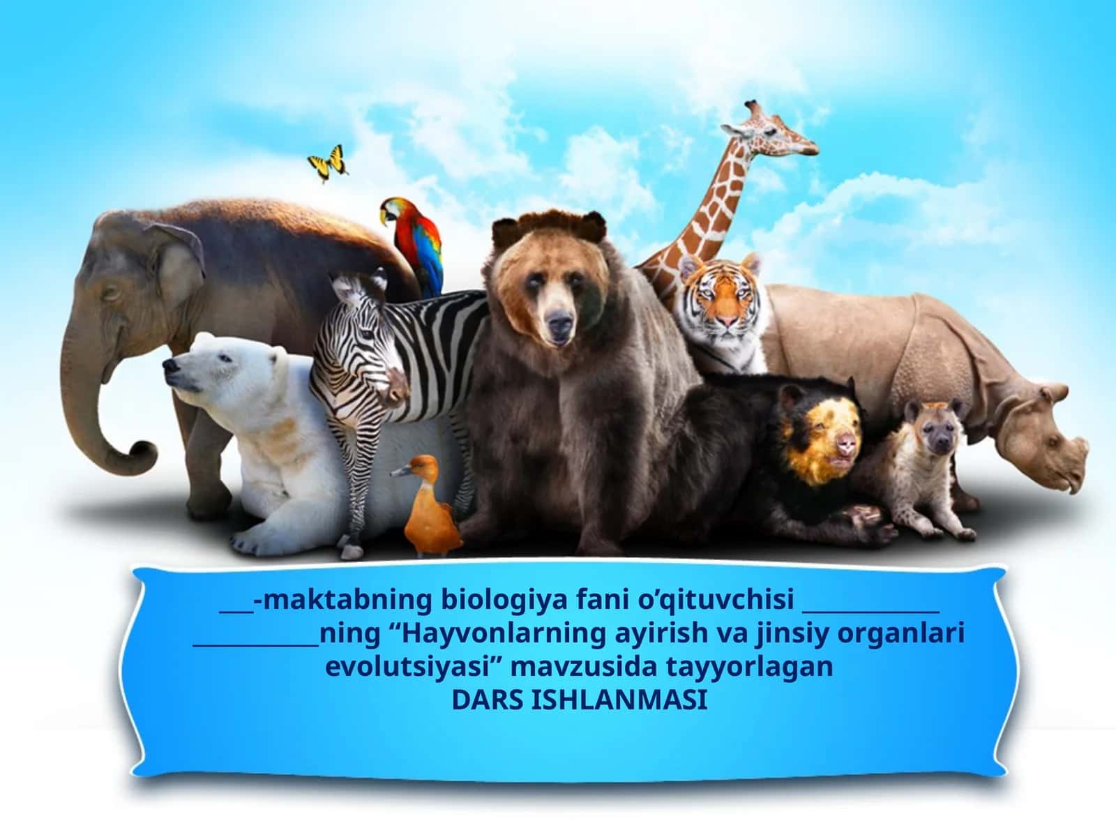 11-sinf Biologiya dars ishlanma. Hayvonlarning ayirish va jinsiy organlari evolutsiyasi