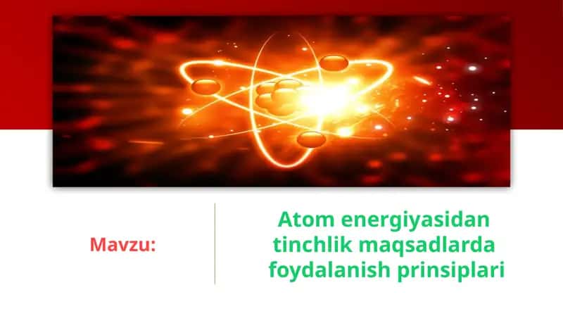 Atom energiyasidan tinchlik maqsadlarda foydalanish prinsplari