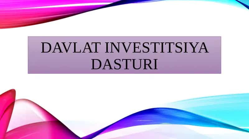 Davlat investitsiya dasturi