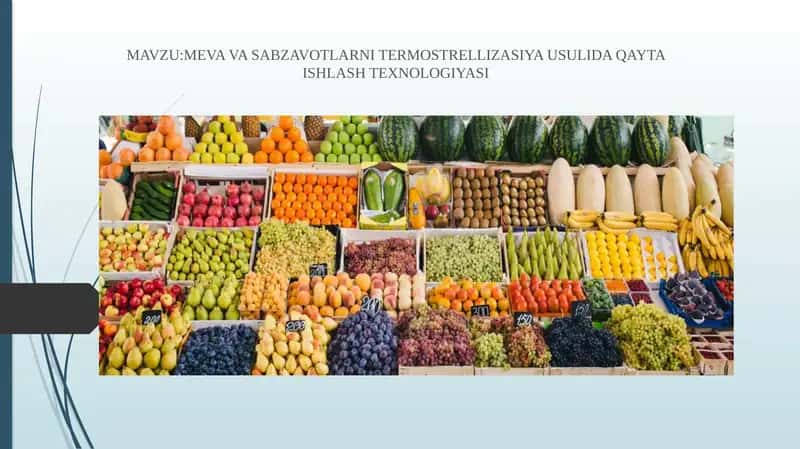 MEVAVA SABZAVOTLARNI TERMOSTRELLIZASIYA USULIDA QAYTA ISHLASH TEXNOLOGIYASI