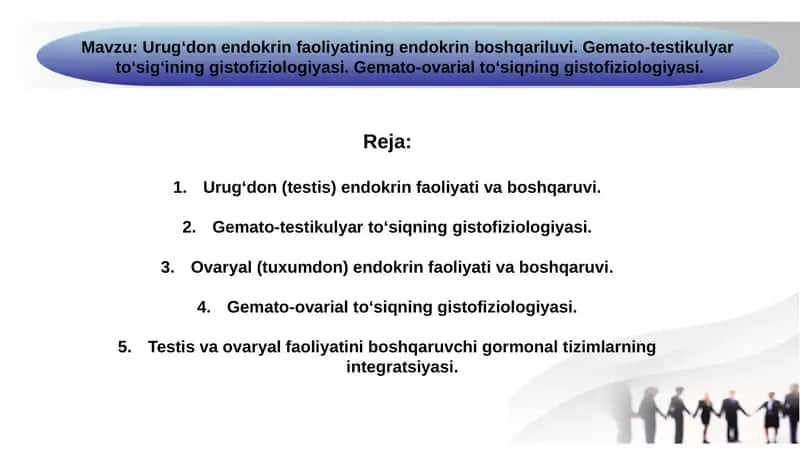 Urugʻdon endokrin faoliyatining endokrin boshqariluvi. Gemato-testikulyar toʻsigʻining gistofiziologiyasi. Gemato-ovarial toʻsiqning gistofiziologiyasi