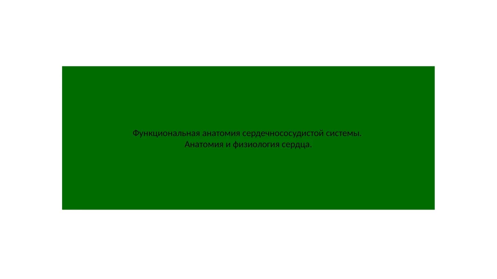 Функциональная анатомия сердечнососудистой системы
