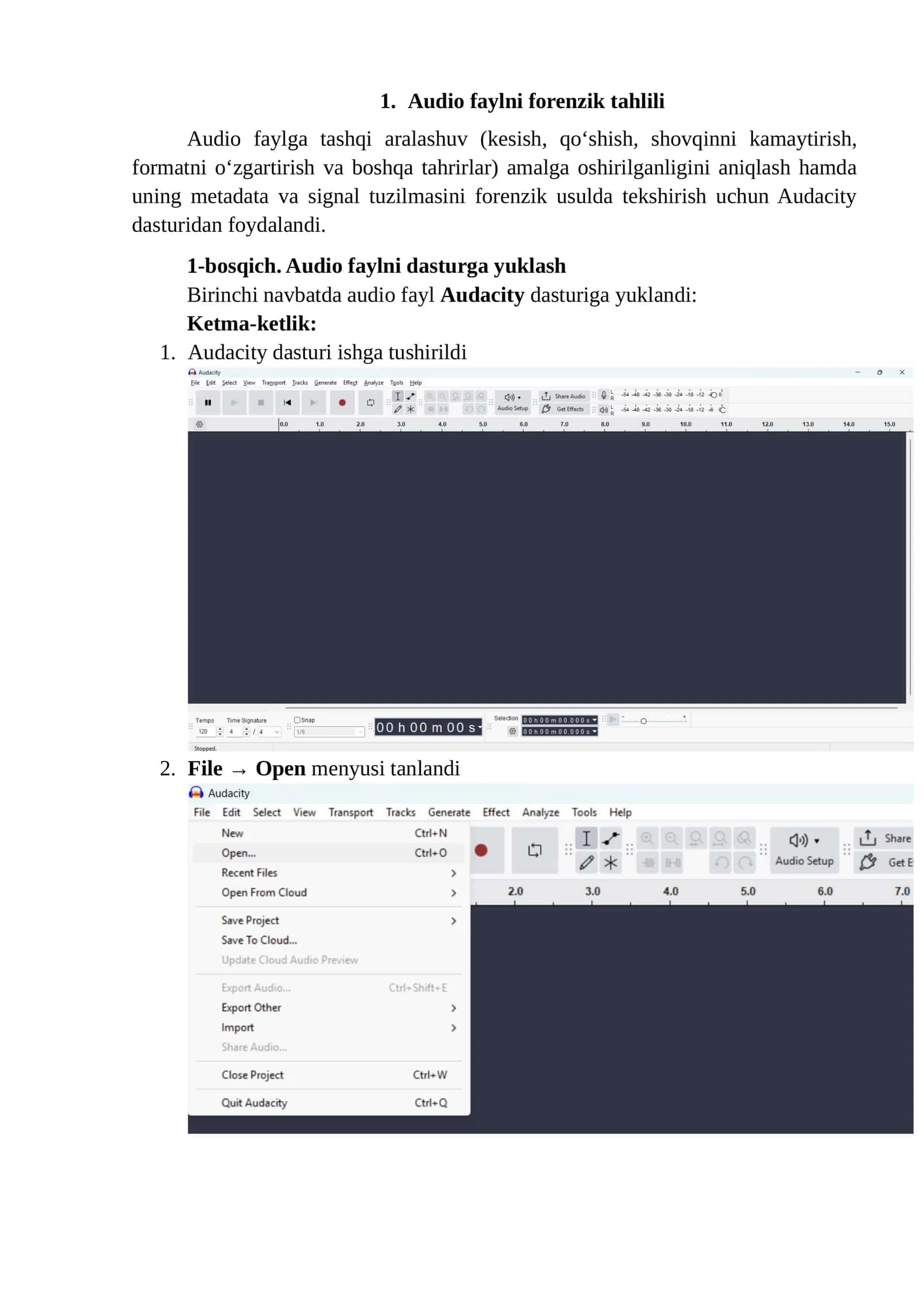 Audio, vedio, rasm faylni forenzik tahlili