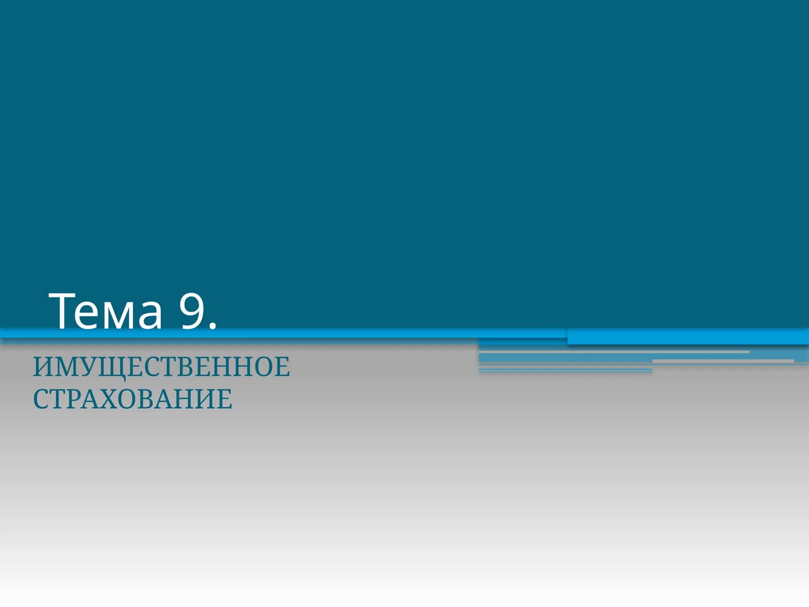 ИМУЩЕСТВЕННОЕ СТРАХОВАНИЕ
