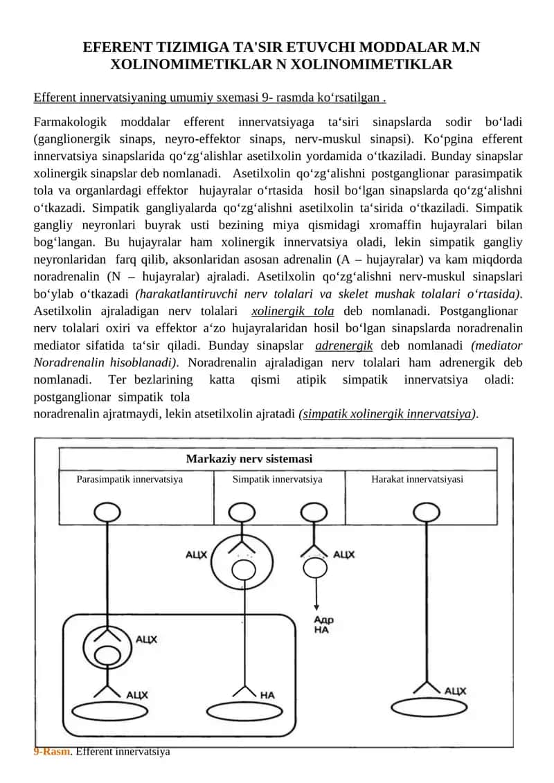 Efferent tizimiga ta'sir etuvchi moddalar