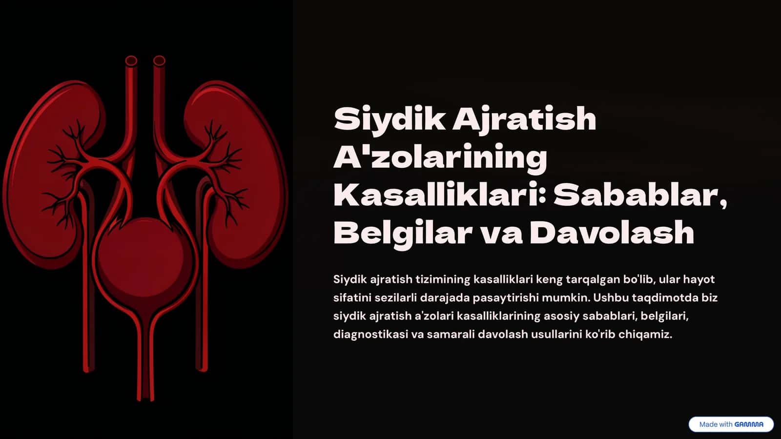 Siydik Ajratish A'zolarining Kasalliklari: Sabablar, Belgilar va Davolash