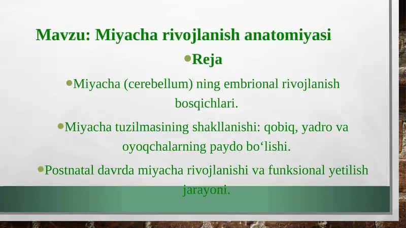 Miyacha rivojlanish anatomiyasi