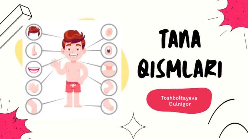 TANA QISMLARI
