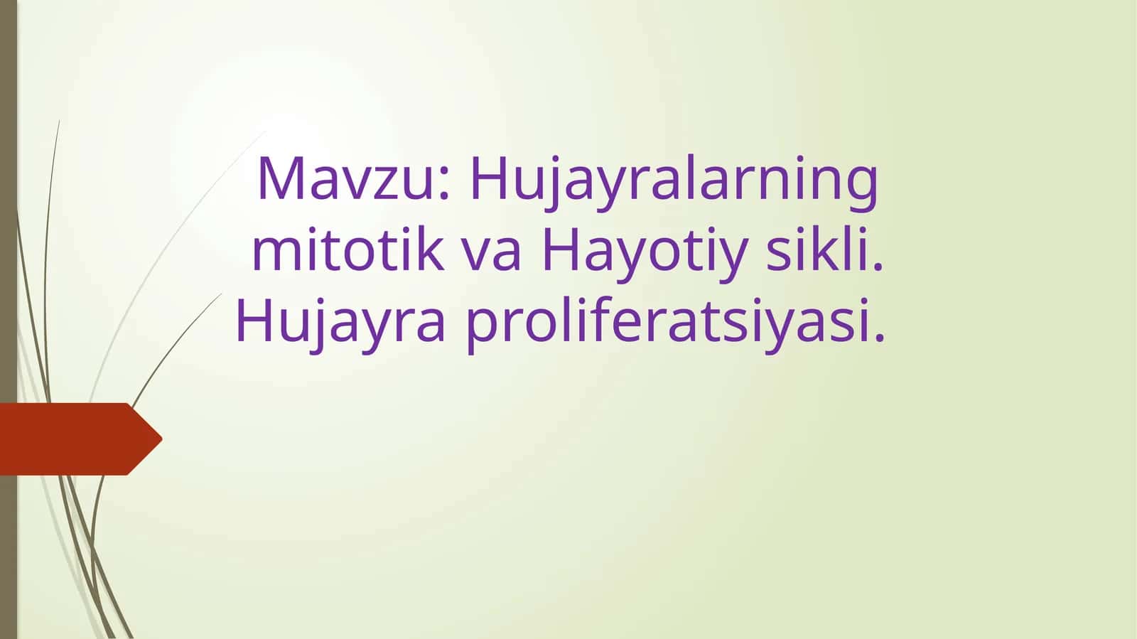 Hujayralarning mitotik va Hayotiy sikli. Hujayra proliferatsiyasi