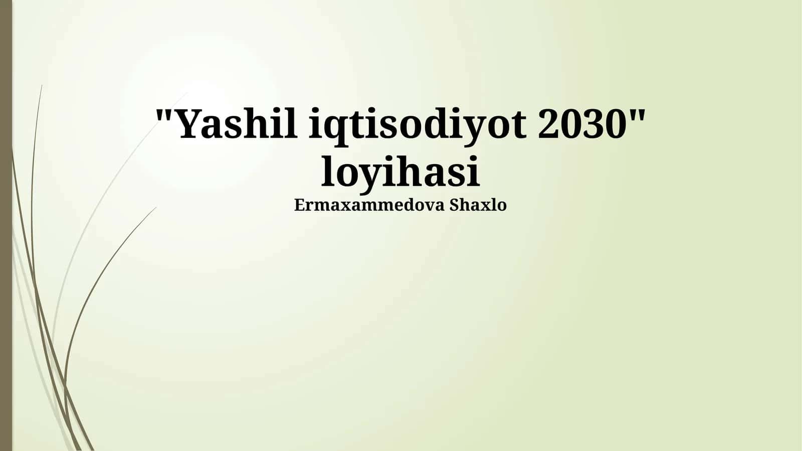 Yashil iqtisodiyot 2030 loyihasi