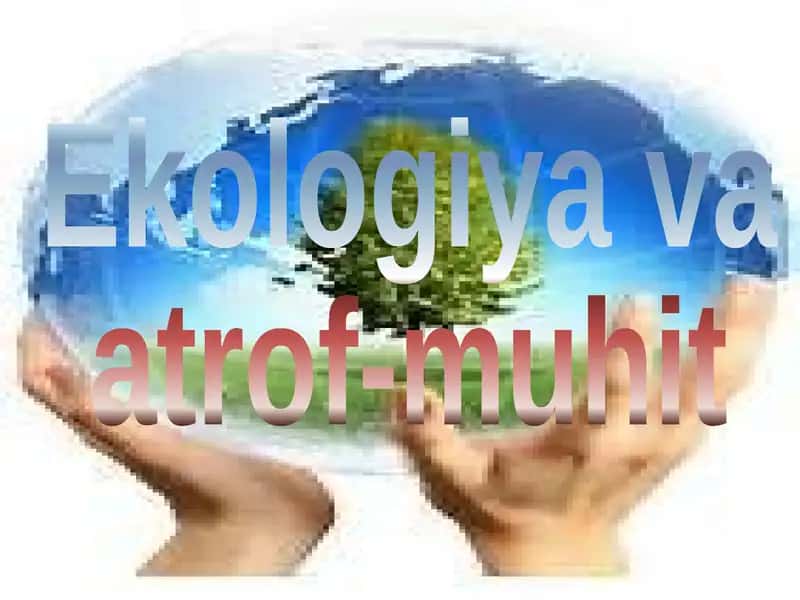 Ekologiya va atrof-muhit
