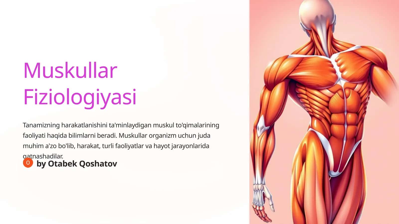 Muskullar Fiziologiyasi