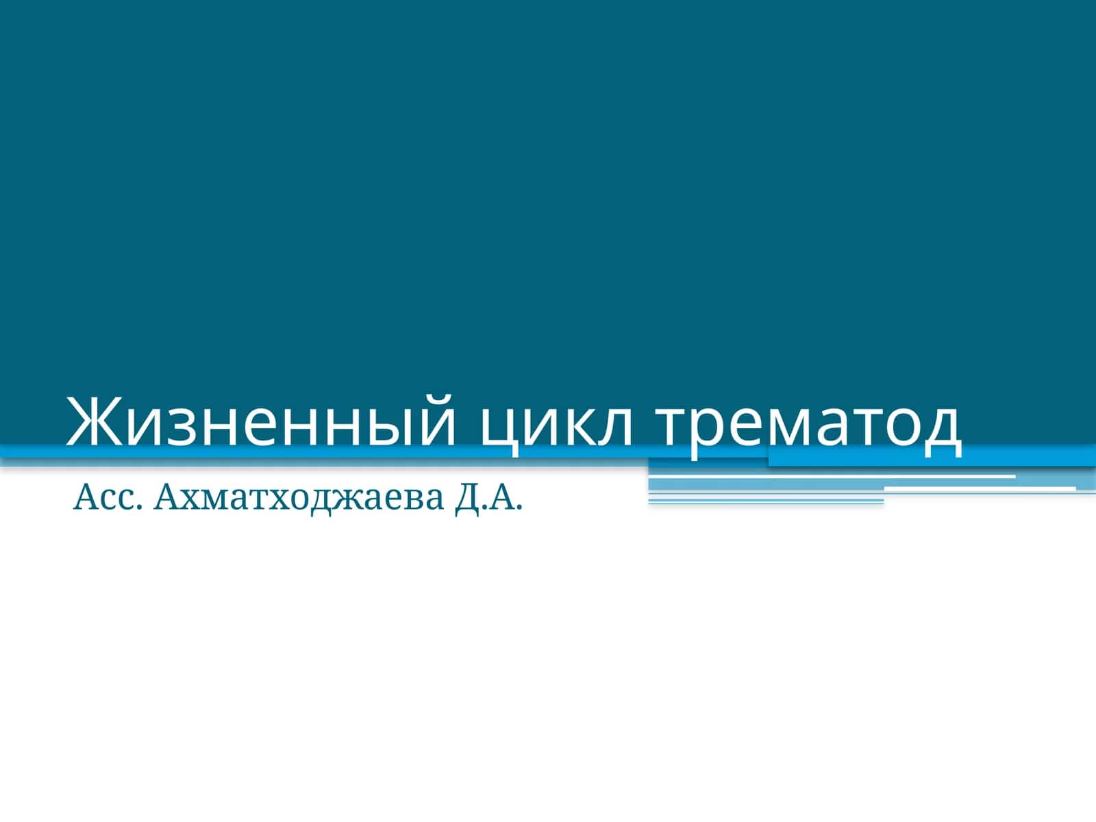 Жизненный цикл трематод