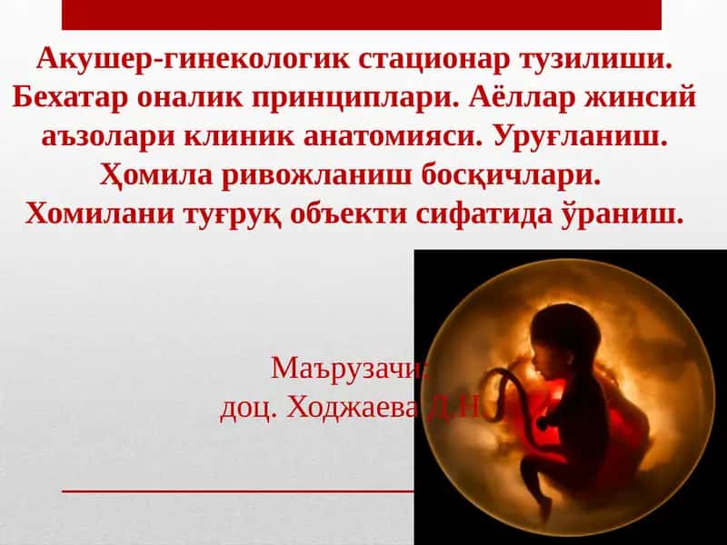 Акушер-гинекологик стационар тузилиши