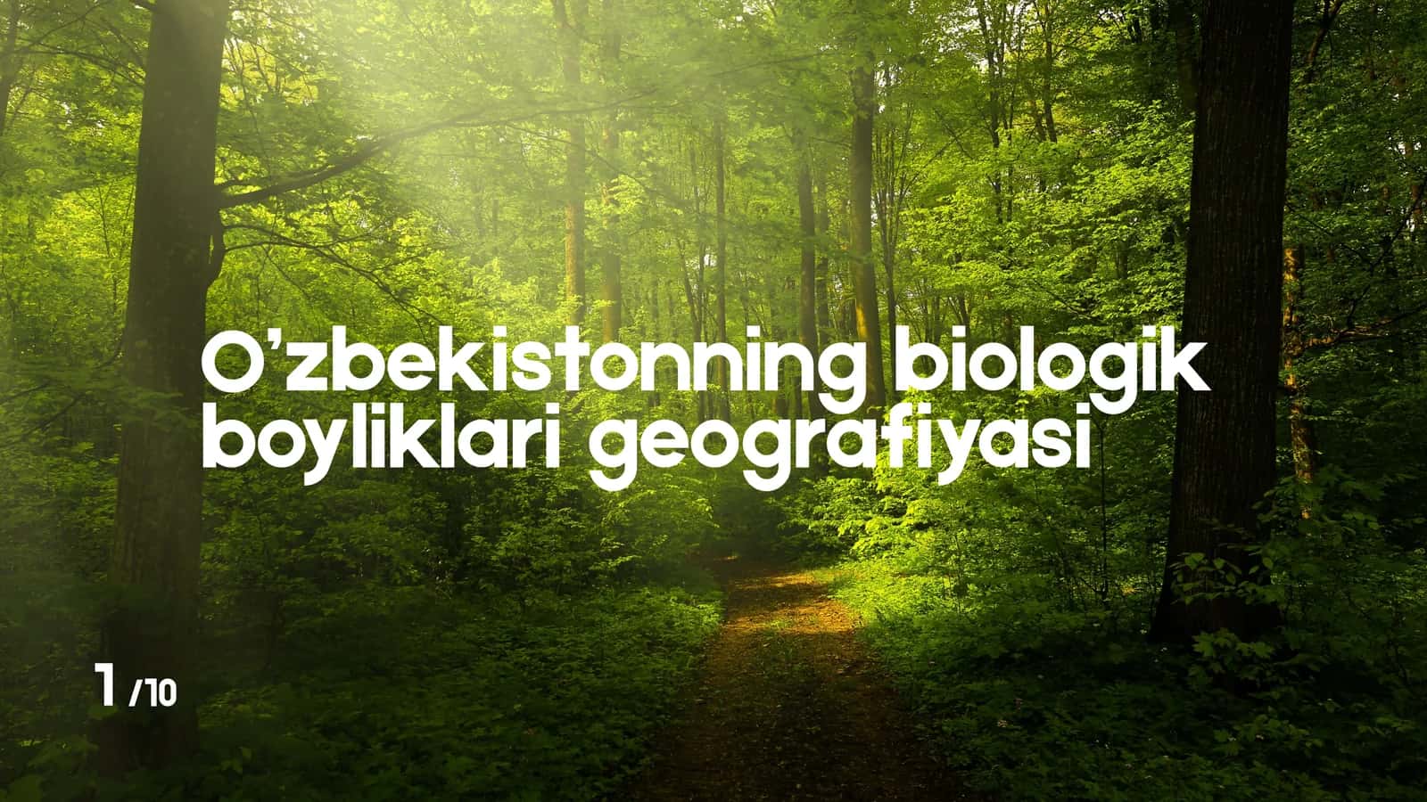 O’zbekistonning biologik boyliklari geografiyasi