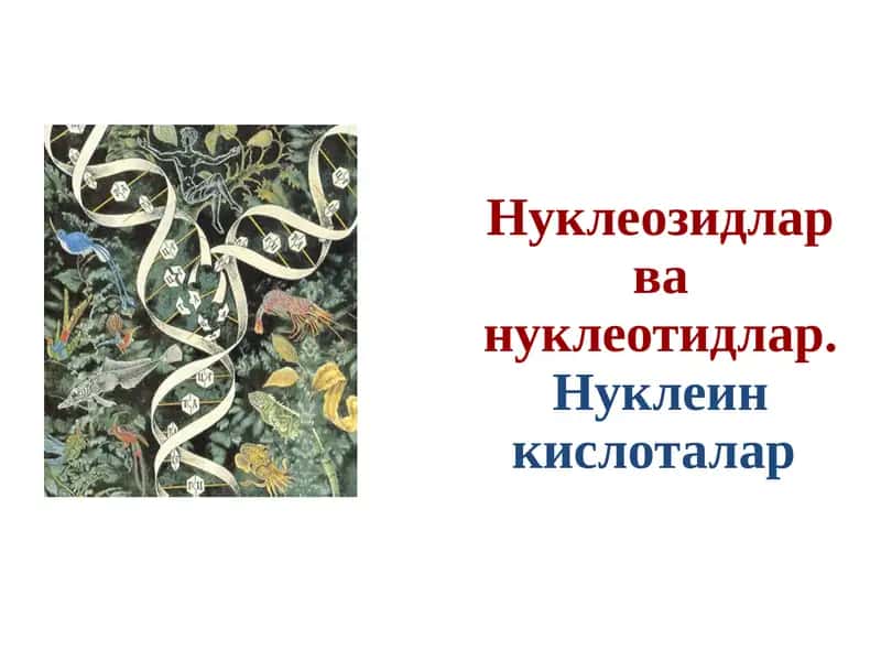 Нуклеозидлар ва нуклеотидлар