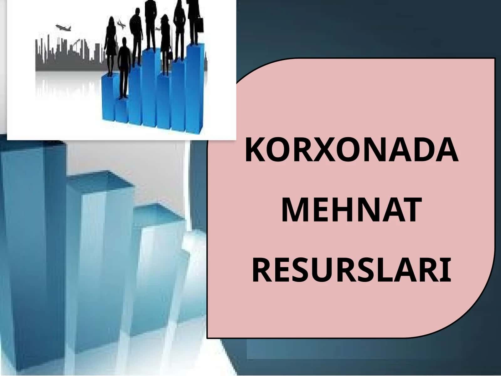 11-sinf Tadbirkorlik asoslari. Korxonada mehnat resurslar