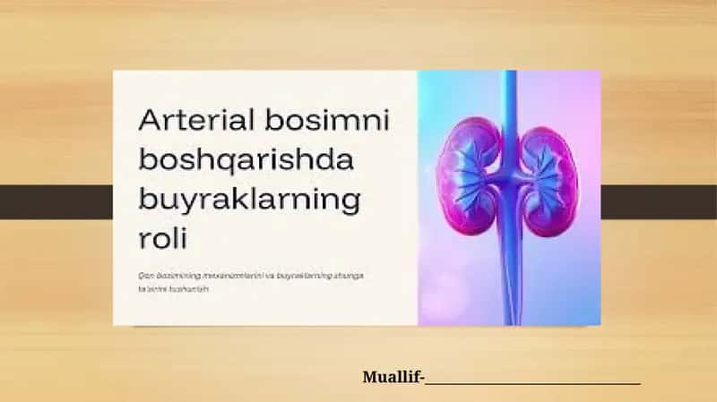 Arterial bosimning boshqariluvida buyraklarning roli