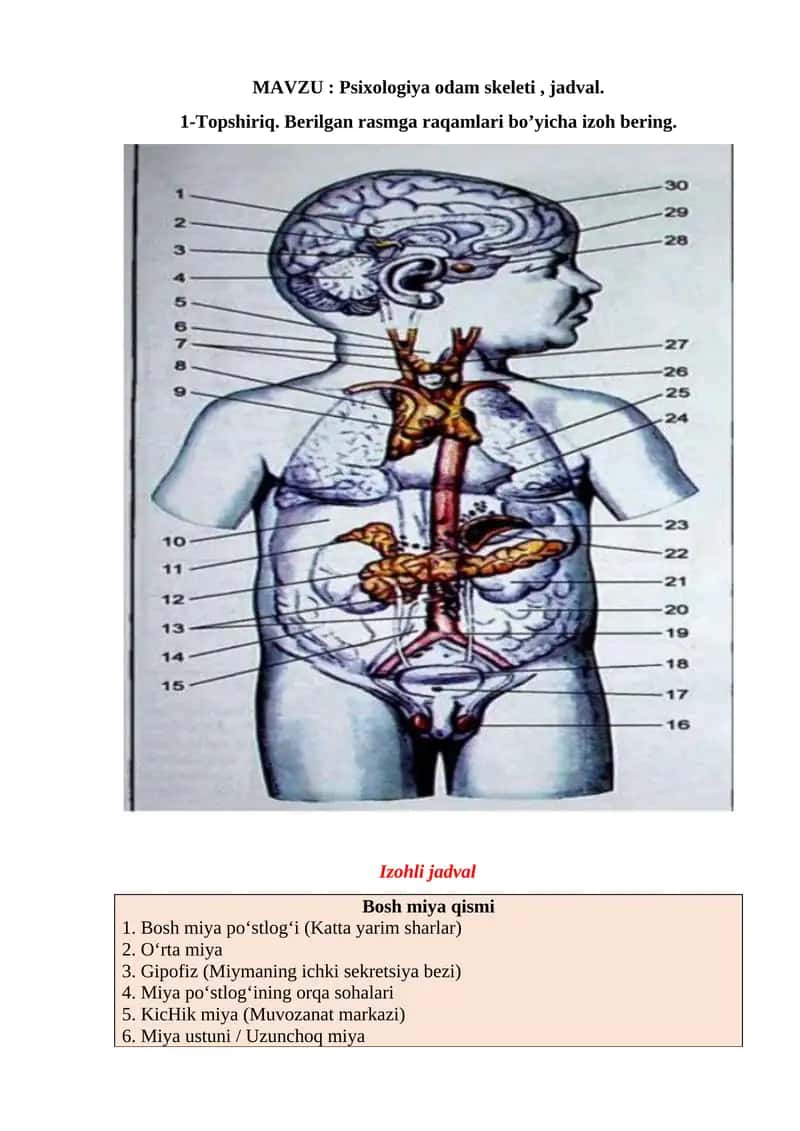 Psixologiya odam skeleti , jadval.