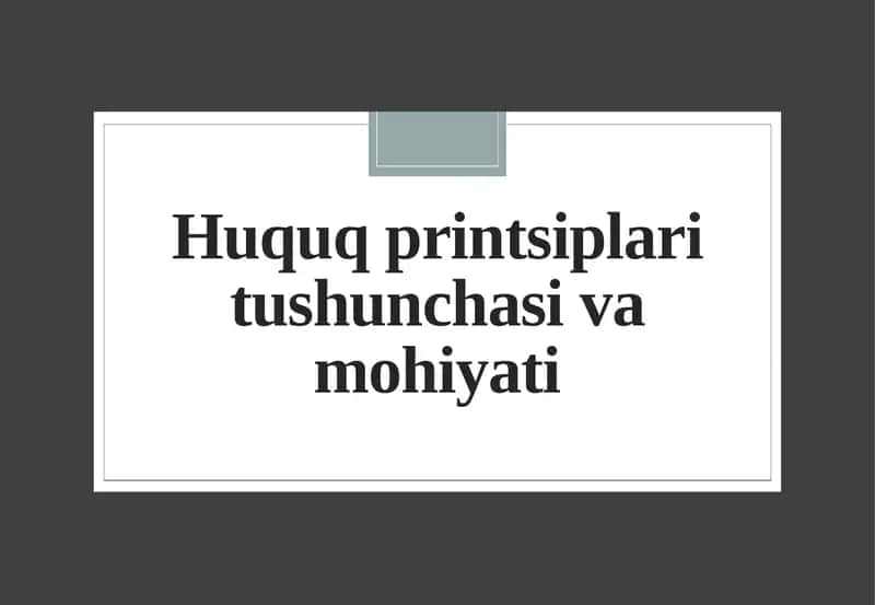 Huquqprintsiplaritushunchasivamohiyati