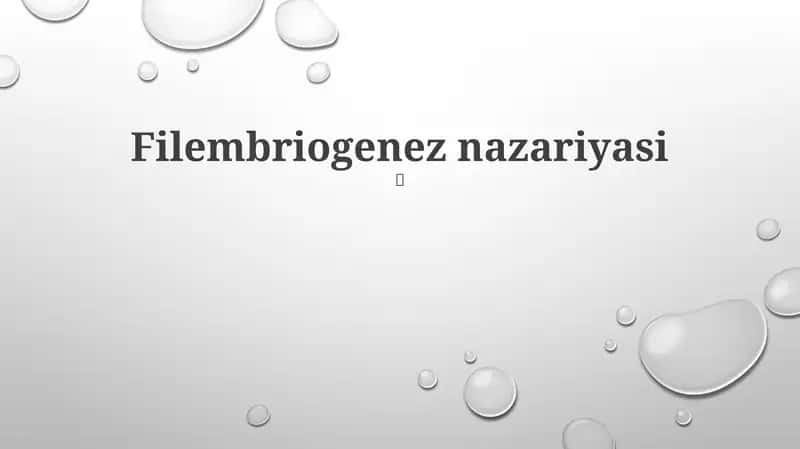Filembriogenez nazariyasi