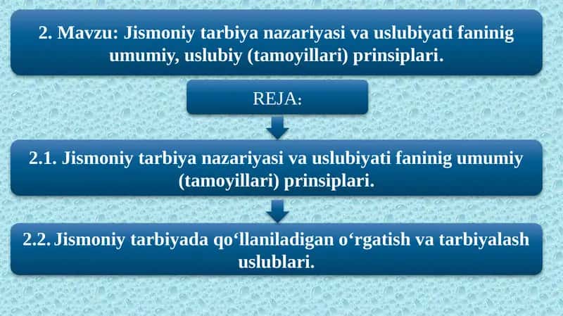 Jismoniy tarbiya nazariyasi va uslubiyati faninig umumiy, uslubiy (tamoyillari) prinsiplari