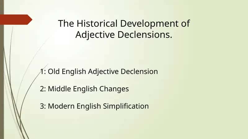 The Historical Development of Adjective Declensions