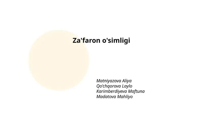 Za'faron o'simligi