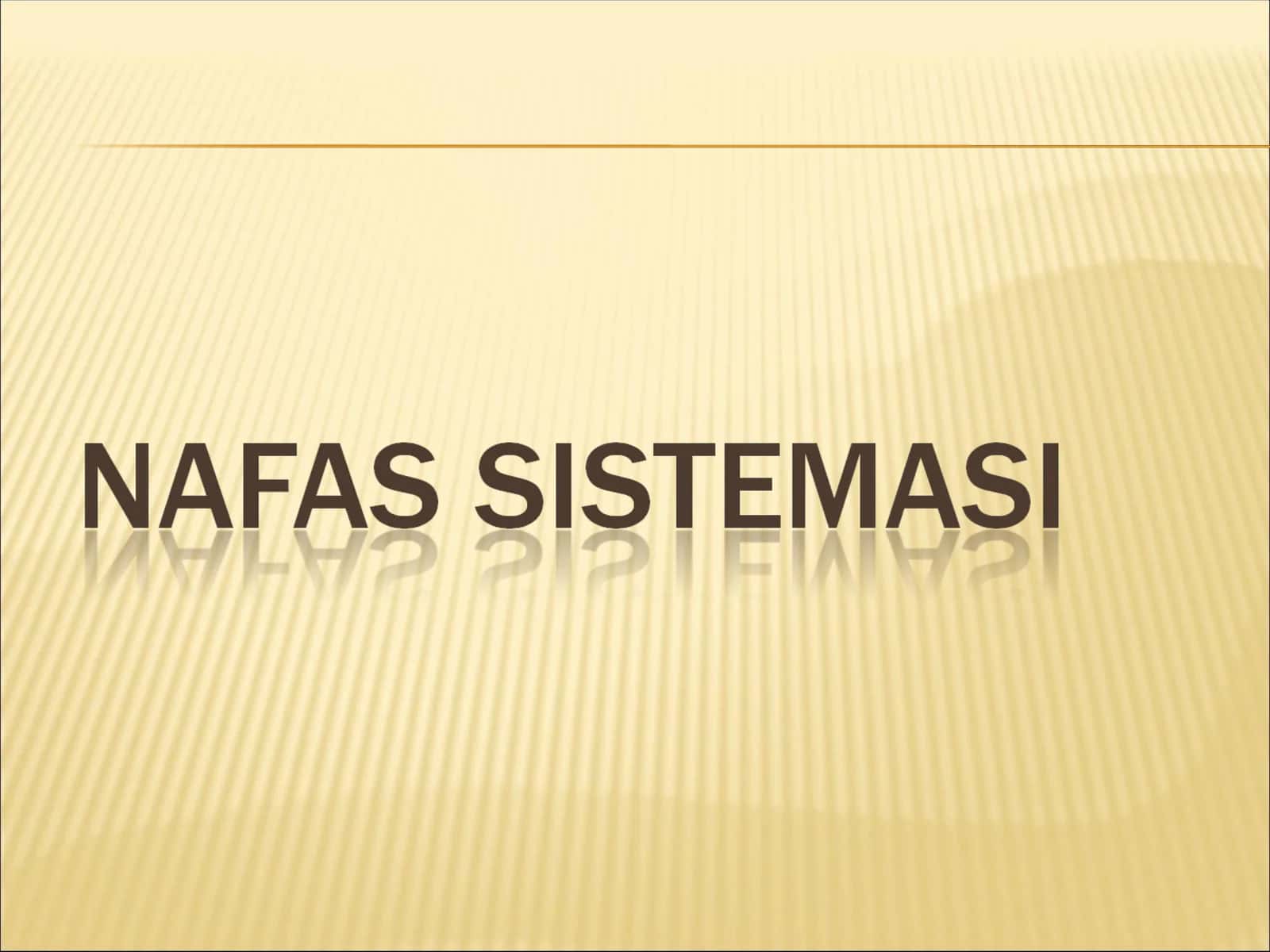 Ichki organlarning umumiy ta`rifi