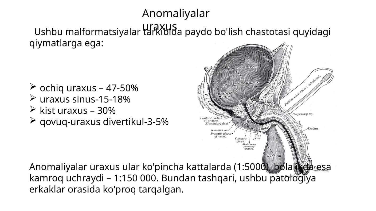 Anomaliyalar uraxus