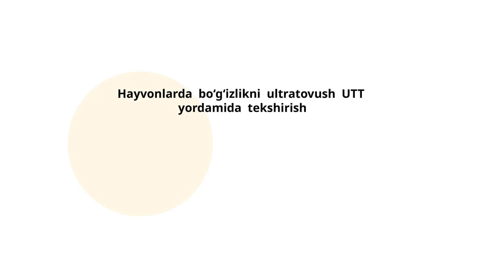 Hayvonlarda bo‘g‘izlikni ultratovush UTT yordamida tekshirish