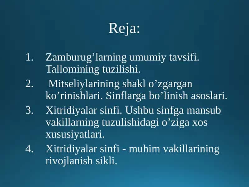 Zamburug’larning umumiy tavsifi