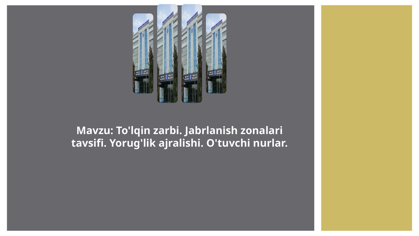 Mavzu: To'lqin zarbi. Jabrlanish zonalari tavsifi. Yorug'lik ajralishi. O'tuvchi nurlar.