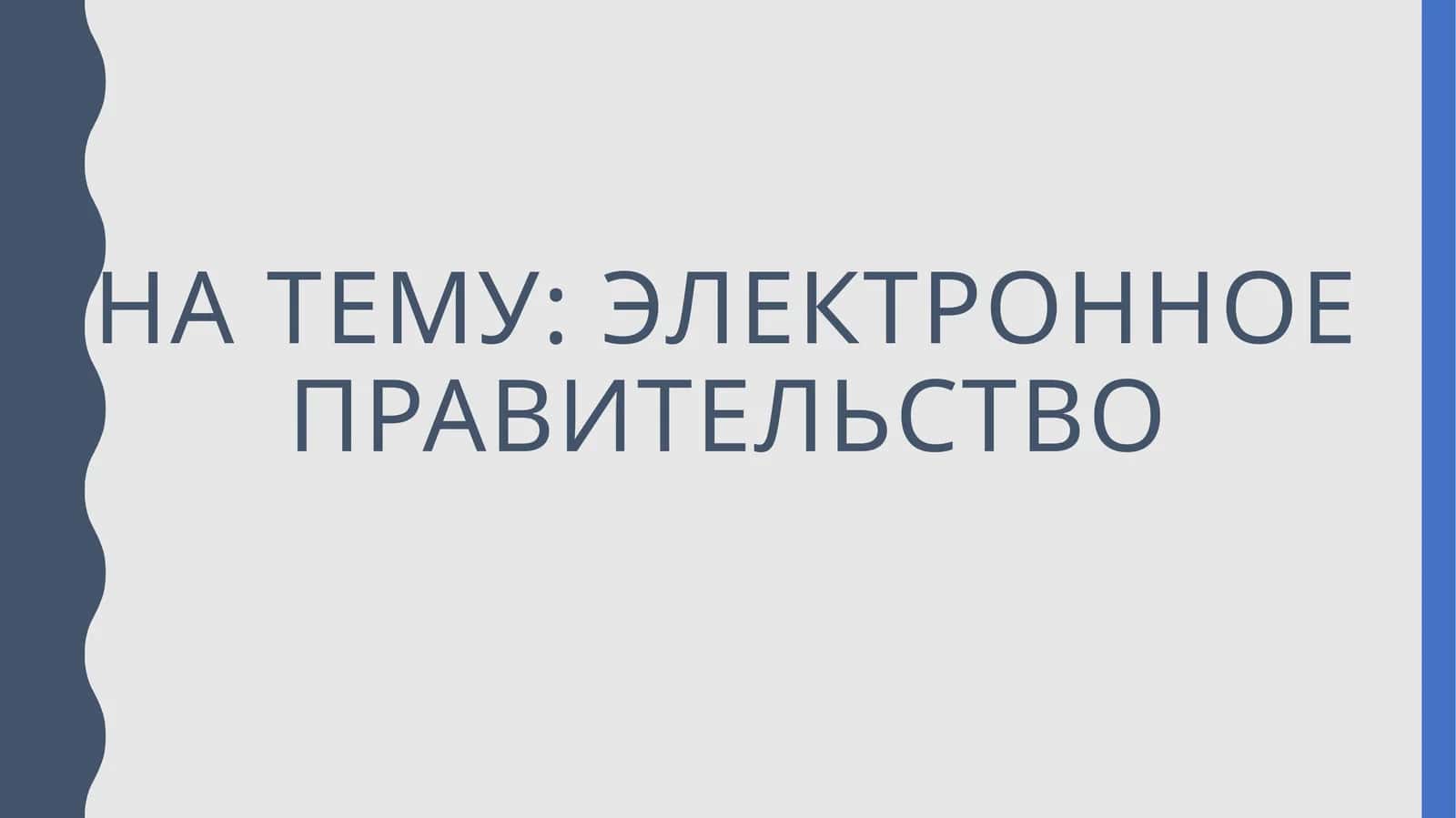 Электронное правительство