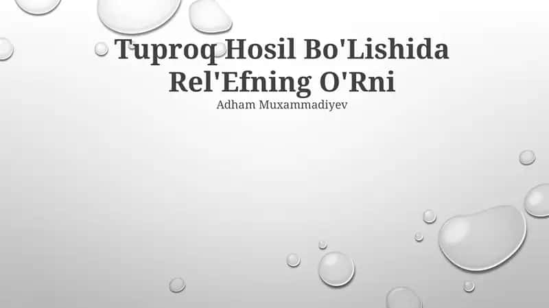 Tuproq Hosil Bo'Lishida Rel'Efning O'Rni