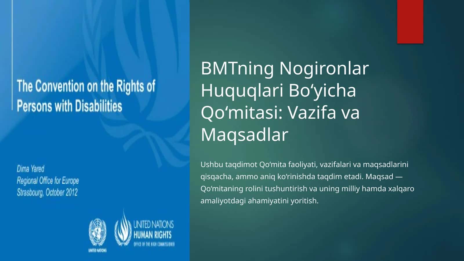BMTning Nogironlar Huquqlari Bo‘yicha Qo‘mitasi: Vazifa va Maqsadlar