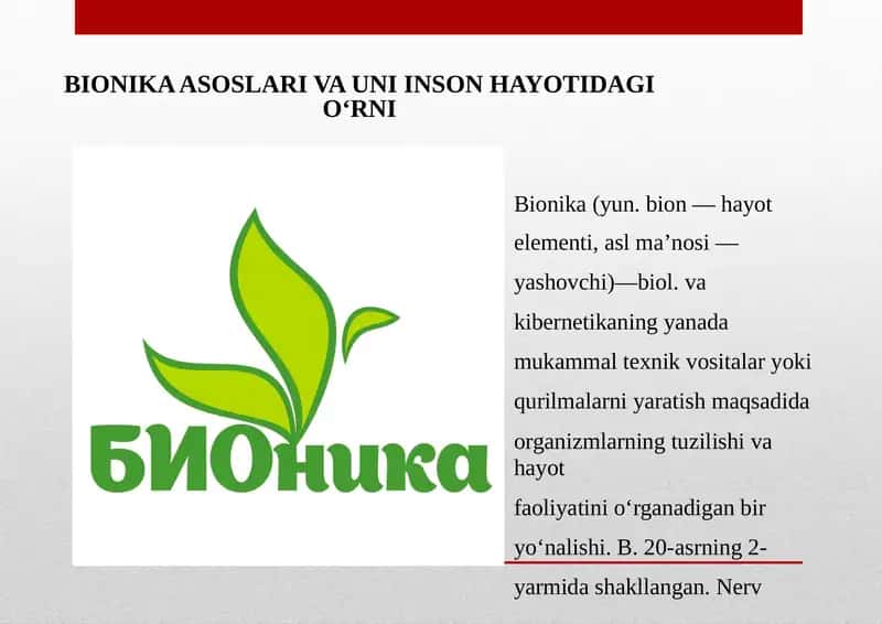 Bionika Asoslari va Uni Inson Hayotidagi O'rni